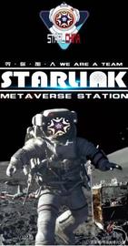 STAR:史上最贵NFT卫星？疑似马斯克出手？来康康是怎么从STARL开始的_STARL